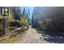 113 Wesco Road, Ymir, BC V0G2K0 Photo 55