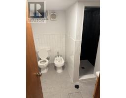 Lower - 628 Manning Avenue, Toronto, ON M6G2V9 Photo 8