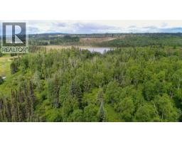 Dl 2685 Upper Fraser Road, Prince George, BC V0J2Z0 Photo 15