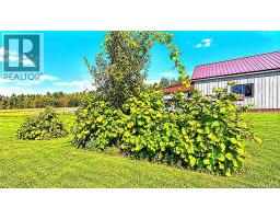 482 Ch Tilley Road, Tilley Road, NB E8M1R4 Photo 35