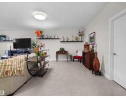 904 Wood Pl Nw Nw, Edmonton, AB T6W3G8 Photo 49