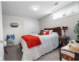 904 Wood Pl Nw Nw, Edmonton, AB T6W3G8 Photo 53