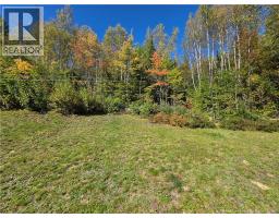 337 Howard Road, Blackville, NB E9B2B2 Photo 32