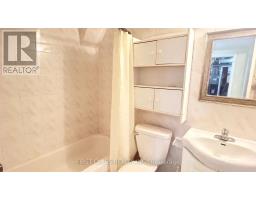 Basement - 81 Apache Trail, Toronto, ON M2H2H7 Photo 6