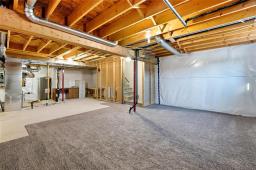 245 El Tassi Drive, Winnipeg, MB R3W0L8 Photo 28