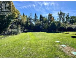 138 Alpine Lake Road, Trent Lakes, ON K0M1A0 Photo 32