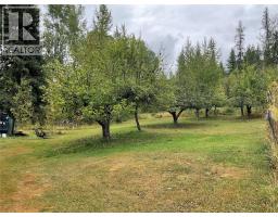 4213 Casino Road, Trail, BC V1R4X3 Photo 22