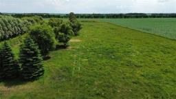 26112 31 (a) Road N, Dufferin, MB R0G0J0 Photo 11