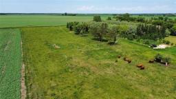 26112 31 (a) Road N, Dufferin, MB R0G0J0 Photo 13