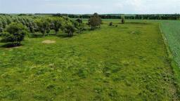 26112 31 (a) Road N, Dufferin, MB R0G0J0 Photo 9