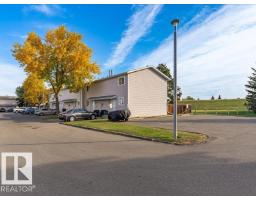 18325 66 Av Nw, Edmonton, AB T5T1Z5 Photo 43