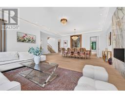 Family room - 257 Lawrence Avenue E, Toronto, ON M4N1T6 Photo 9