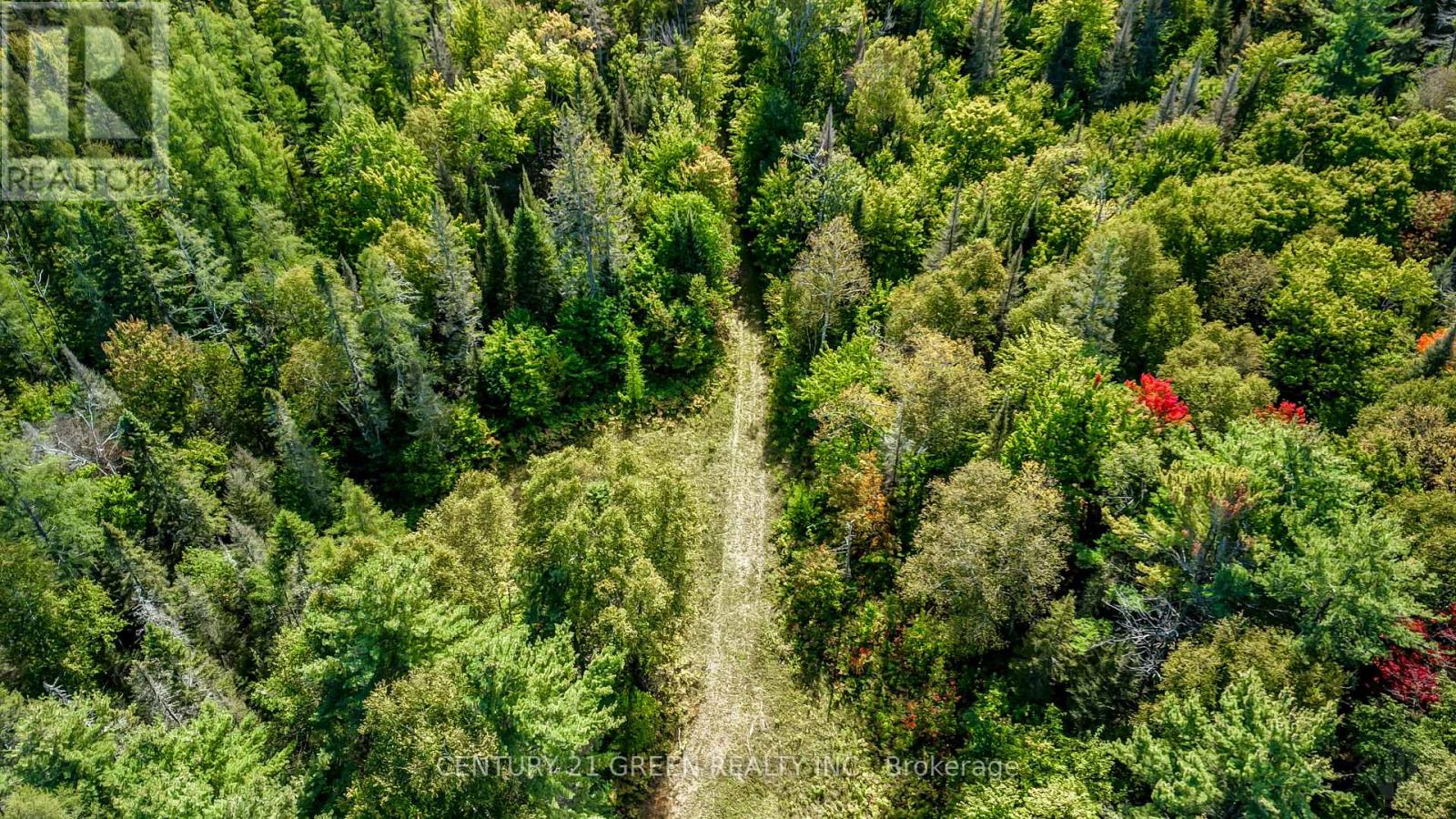 879 LAKE BERNARD ROAD S - 39