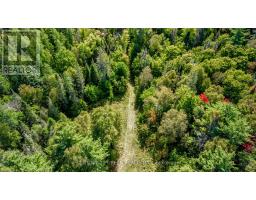 879 S Lake Bernard Road, Sundridge, ON P0A1Z0 Photo 39