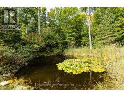 3993 Chapel Road, South Glengarry, ON K0C1B0 Photo 41