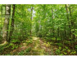 3993 Chapel Road, South Glengarry, ON K0C1B0 Photo 44