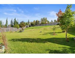 9806 179 Av Nw, Edmonton, AB T5X6A6 Photo 46