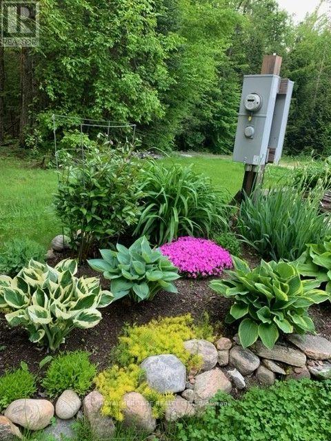 1515 UFFINGTON ROAD, Bracebridge (Draper) — photo 50