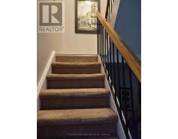 Laundry room - 1576 Lassiter Terrace, Ottawa, ON K1J8N4 Photo 8