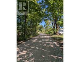 781492 3 Side Road, Chatsworth, ON N0H1K0 Photo 27