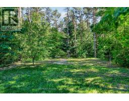 149 Pine Tree Lane, Cramahe, ON K0K1S0 Photo 32