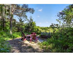 149 Pine Tree Lane, Cramahe, ON K0K1S0 Photo 33