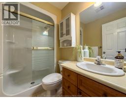 11027 Leathorne, Windsor, ON N8P1W9 Photo 22