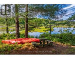 1059 Bona Vista Road, Lake Of Bays, ON P1H2J3 Photo 36
