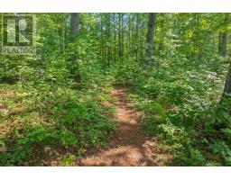 1059 Bona Vista Road, Lake Of Bays, ON P1H2J3 Photo 47