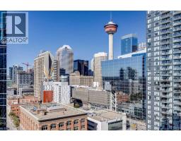 1610, 225 11 Avenue Se, Calgary, AB T2G0G3 Photo 27