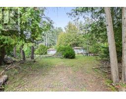 36 Nurme Avenue, Georgina, ON L0E1N0 Photo 12