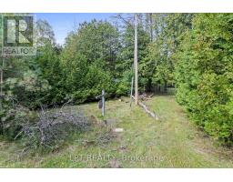 36 Nurme Avenue, Georgina, ON L0E1N0 Photo 15