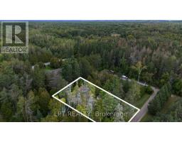 36 Nurme Avenue, Georgina, ON L0E1N0 Photo 21