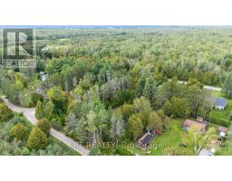 36 Nurme Avenue, Georgina, ON L0E1N0 Photo 23