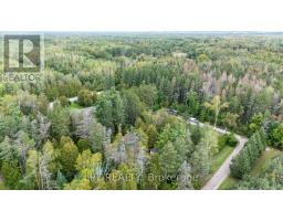 36 Nurme Avenue, Georgina, ON L0E1N0 Photo 25
