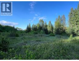 2685 Mile 108 Road, Horsefly, BC V0L1L0 Photo 27