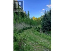 2685 Mile 108 Road, Horsefly, BC V0L1L0 Photo 28