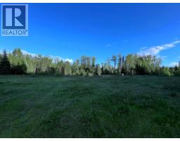 2685 Mile 108 Road, Horsefly, BC V0L1L0 Photo 18