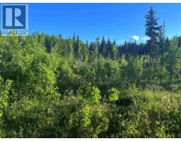 2685 Mile 108 Road, Horsefly, BC V0L1L0 Photo 35