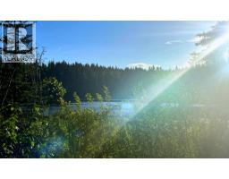 2685 Mile 108 Road, Horsefly, BC V0L1L0 Photo 36