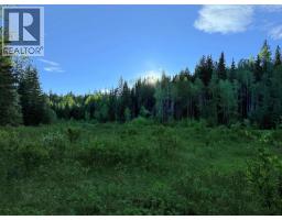 2685 Mile 108 Road, Horsefly, BC V0L1L0 Photo 24