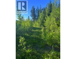 2685 Mile 108 Road, Horsefly, BC V0L1L0 Photo 34