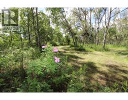 430006 Range Road 232, Rural Ponoka County, AB T4J1R1 Photo 37