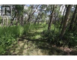 430006 Range Road 232, Rural Ponoka County, AB T4J1R1 Photo 40
