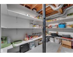 10018 173 Av Nw, Edmonton, AB T5X3X9 Photo 49