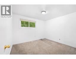 268 Broadway Street, Belle River, ON N8L0L5 Photo 21