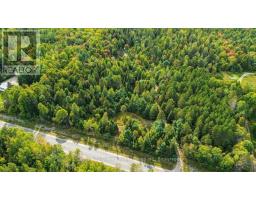 649 Madawaska Road, Hastings Highlands, ON K0L2S0 Photo 47