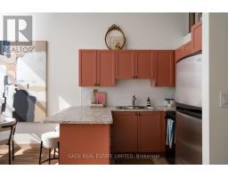 204 - 284 St Helens Avenue, Toronto, ON M6H4A4 Photo 6