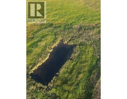 272079 Highway 547, Rural Foothills County, AB T0L0J0 Photo 23