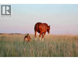 272079 Highway 547, Rural Foothills County, AB T0L0J0 Photo 17